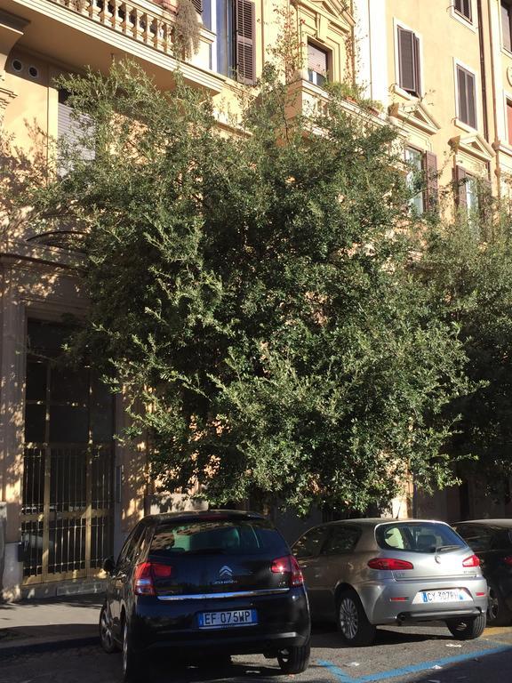 Vatican Accommodations Róma Kültér fotó